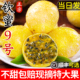 广西钦蜜9号黄金百香果10新鲜水果当季整箱百香果包邮大原果浆5斤