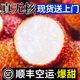 现货正宗海南无核荔枝5斤礼盒装新鲜水果当季整箱火山无籽荔枝甜