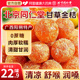 正宗广西特产甘草金桔正品官方旗舰店清止润化喉咙咳蜜饯痰果脯干
