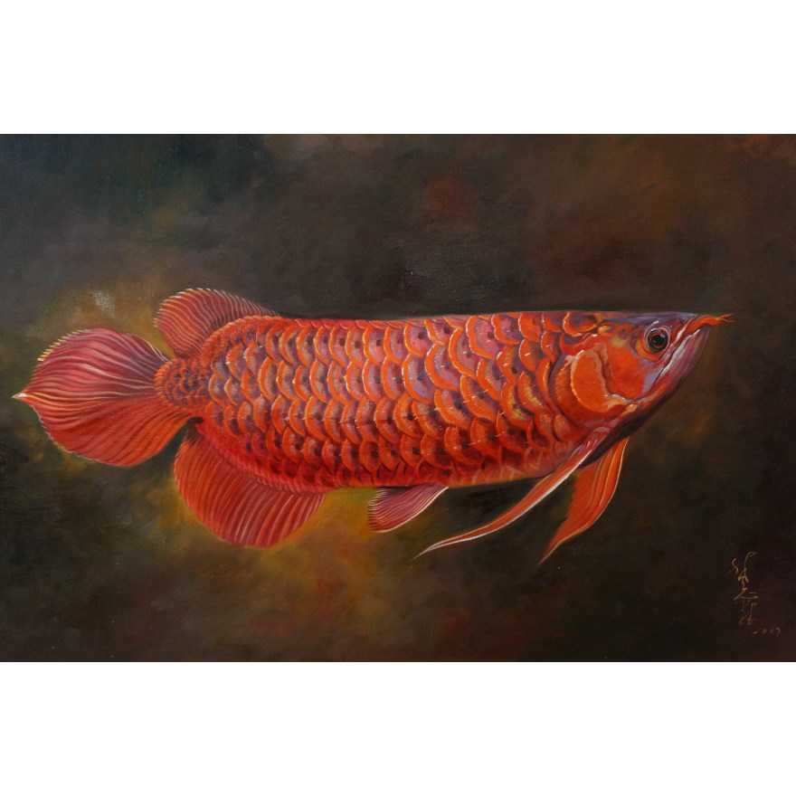 林志霖《金龙鱼》实力派专业动物画家