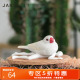 【5折特惠】赞尔jarll白日梦系列吱吱鸟摆件送儿童生日情人节礼物