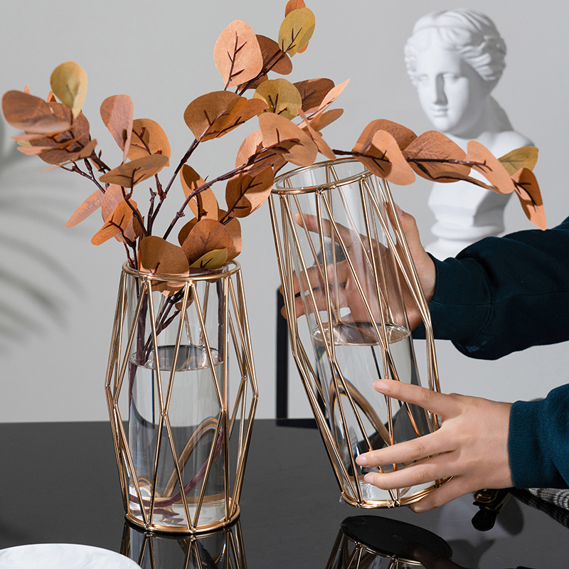 ins风 北欧透明玻璃花瓶小摆件创意简约客厅干花插花餐桌面装饰品