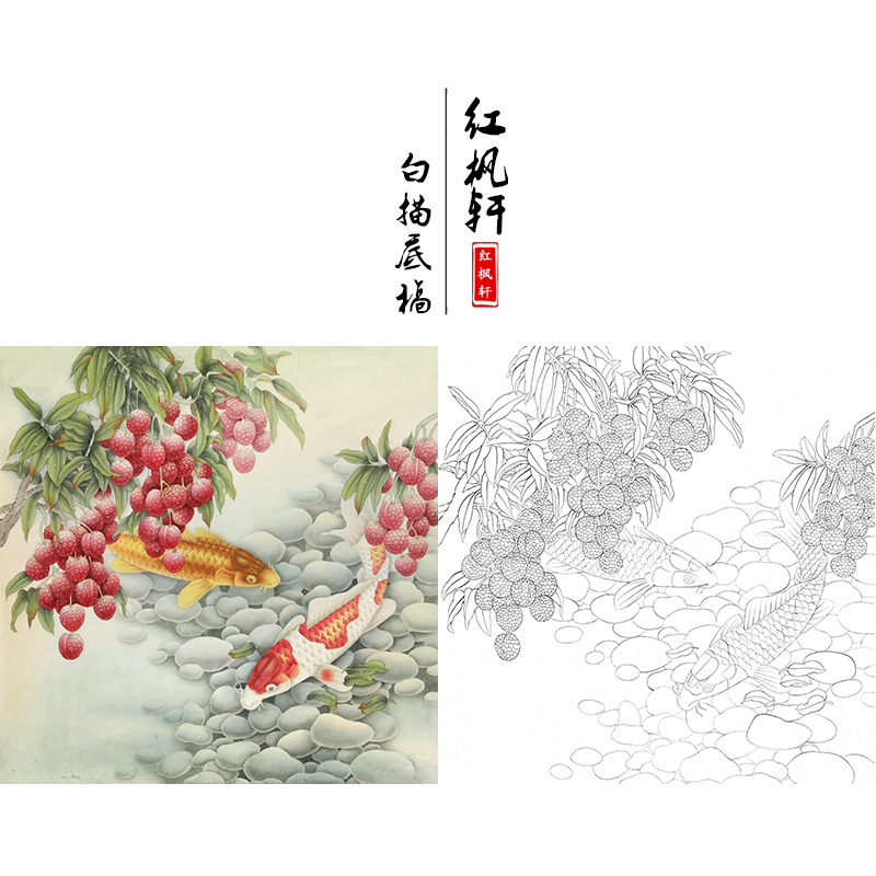 国画花鸟白描底稿荔枝锦鲤鱼工笔画学习临摹线描打印练习作业过稿