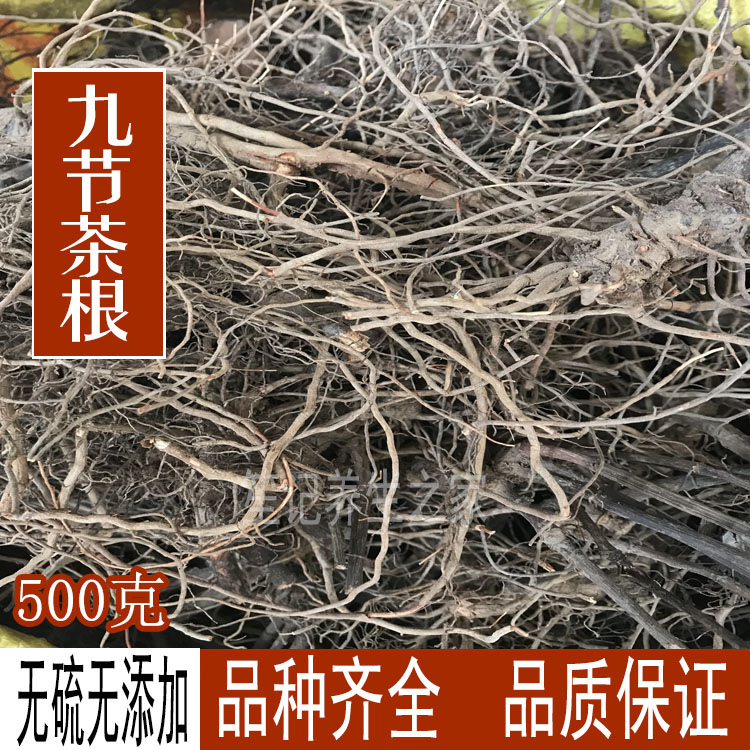 包邮 中药材肿节风根 500g 九节茶根 九节风 接骨莲草珊瑚 笙记养生