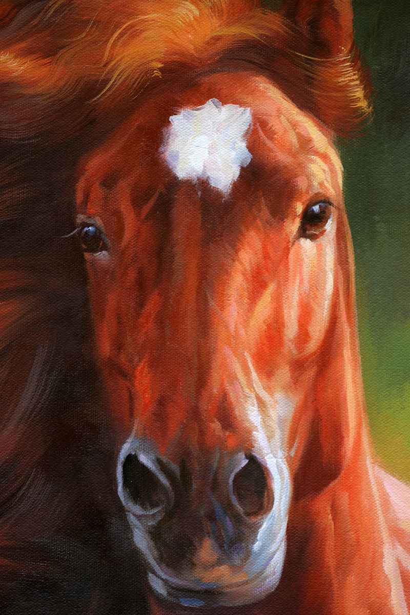 苏章峰《枣红马》写实 实力派青年画家