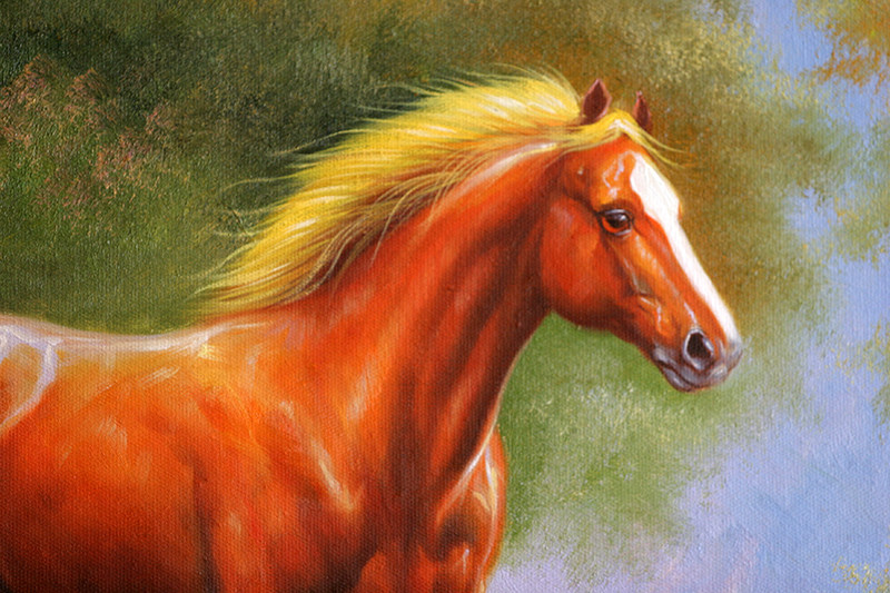罗宏龙《枣红马》实力派画家