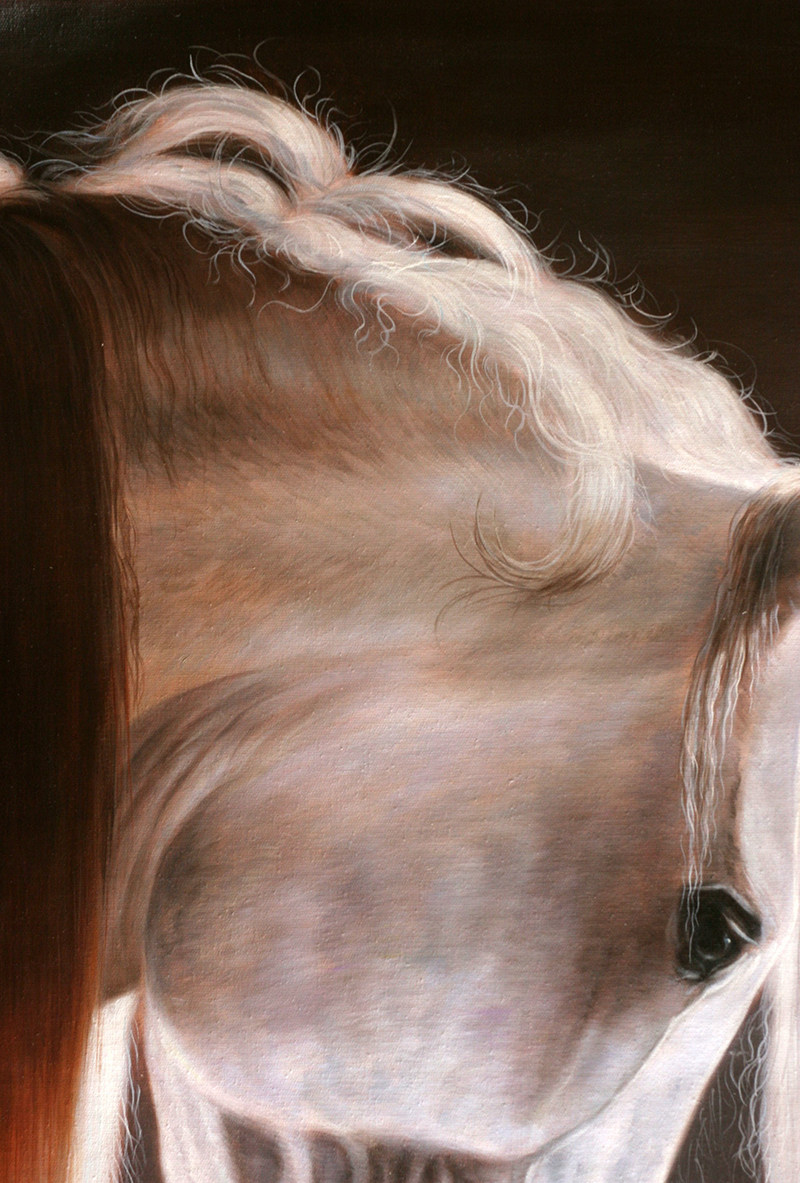 苏章峰《白龙马》