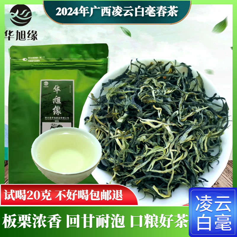 2024年春茶广西特产凌云白毫茶绿茶板栗清香回甘高山云雾好口粮茶