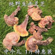赤灵芝纯野生500g一斤装整朵干货养生茶泡酒可切片非长白山灵芝根