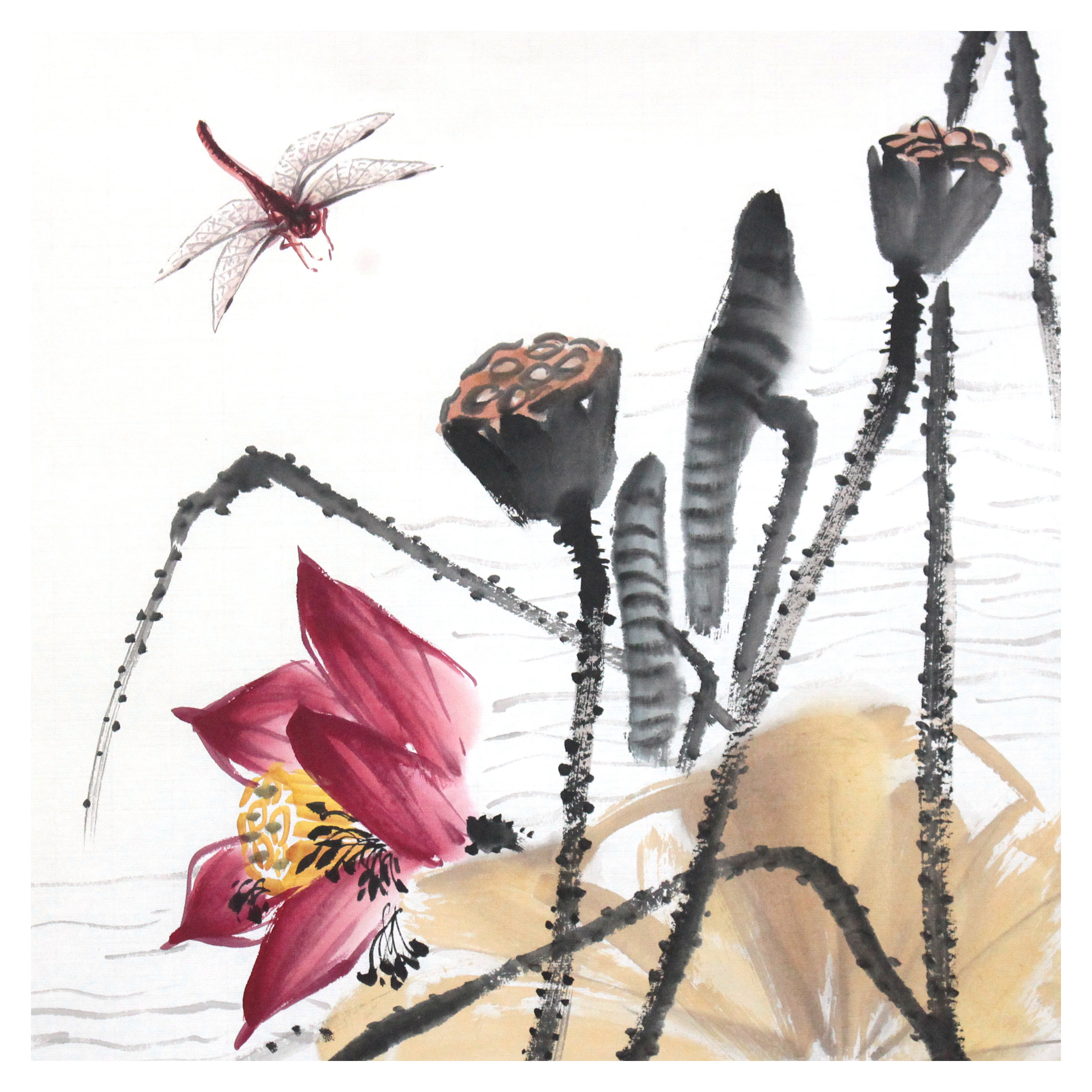 齐良末《红荷》齐白石幼子