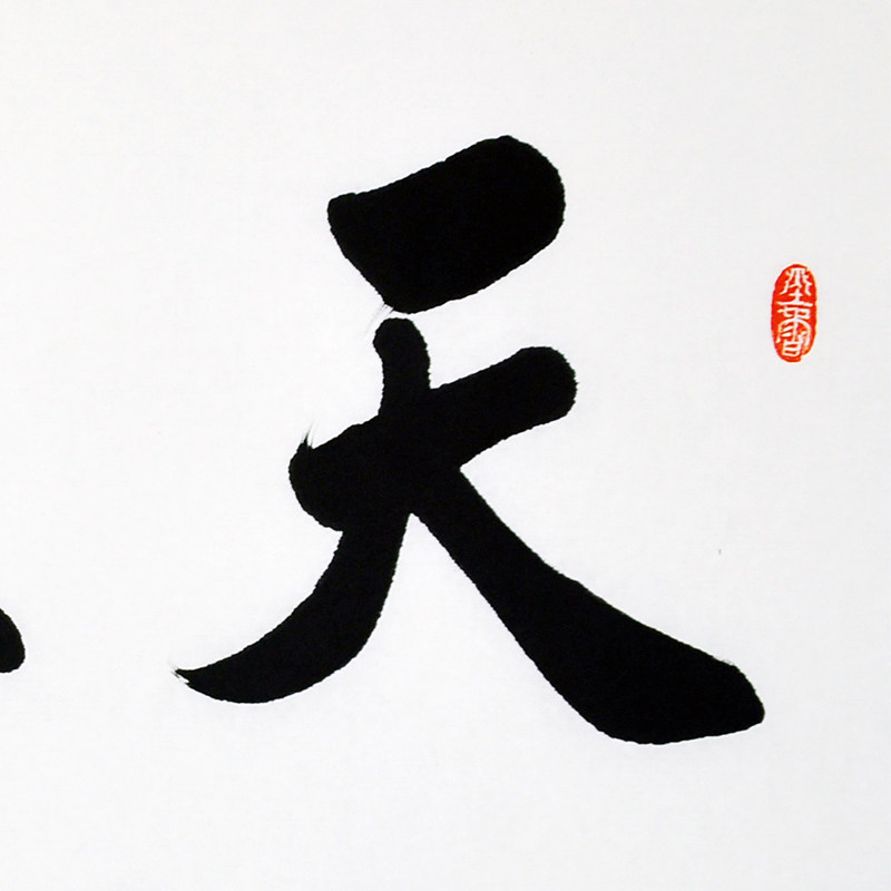 张文《天顺人和》中书协会员