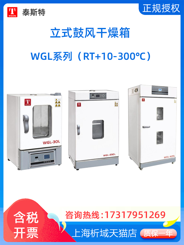 天津泰斯特WGL-625D/L/T立式鼓风干燥箱高温烘箱电热烤箱300°