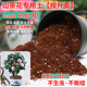 山茶花专用土营养土弱酸性家庭种植土通用型花卉盆栽土透气排水土