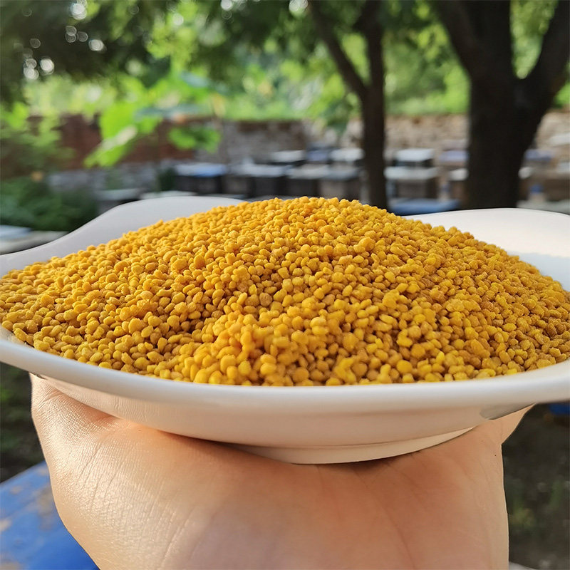 蜂花粉试吃组合装荷花粉百花粉油菜花粉茶花粉天然纯可破壁