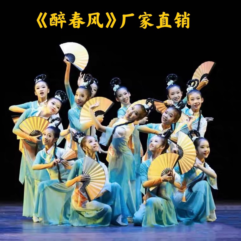 儿童醉春风舞蹈服演出服女童古典舞表演飘逸中国风女款扇子舞蹈服
