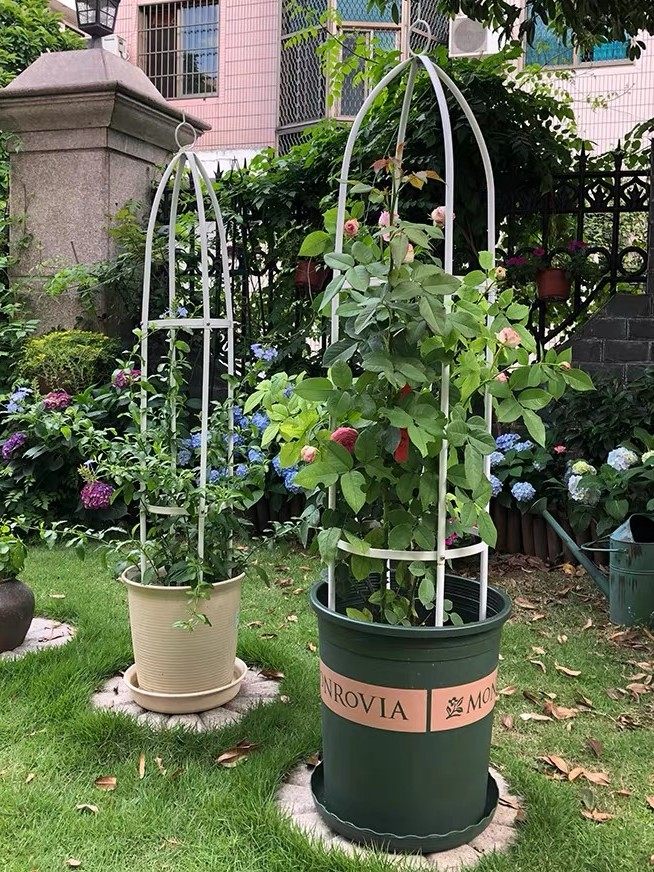 上上花田的优惠券大全—铁线莲花架爬藤架铁艺锥形支架球兰攀爬架园艺