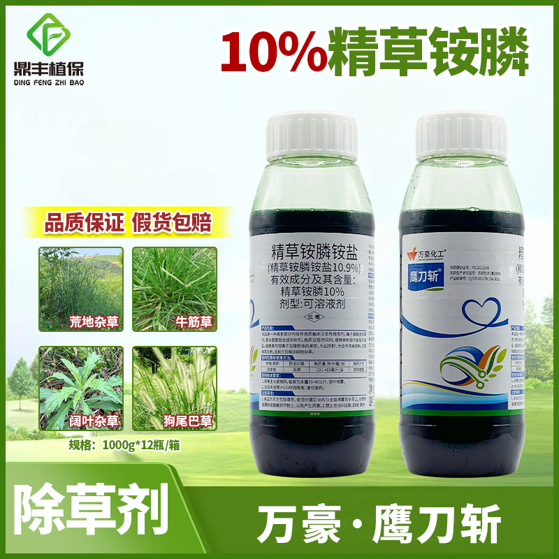 万豪鹰刀斩10％精草铵膦铵盐荒地茶园果园牛筋草小飞蓬除草剂1kg