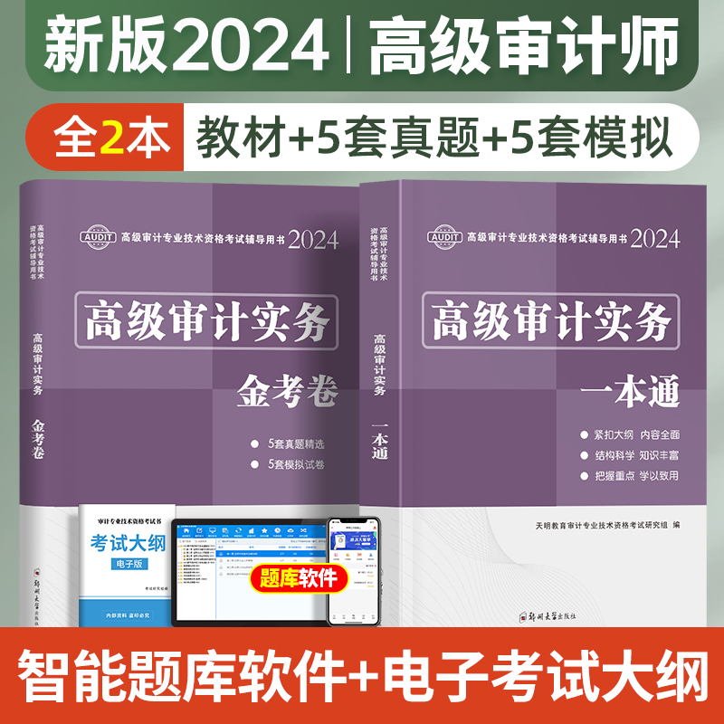 新版2024年高级审计师教材考试辅