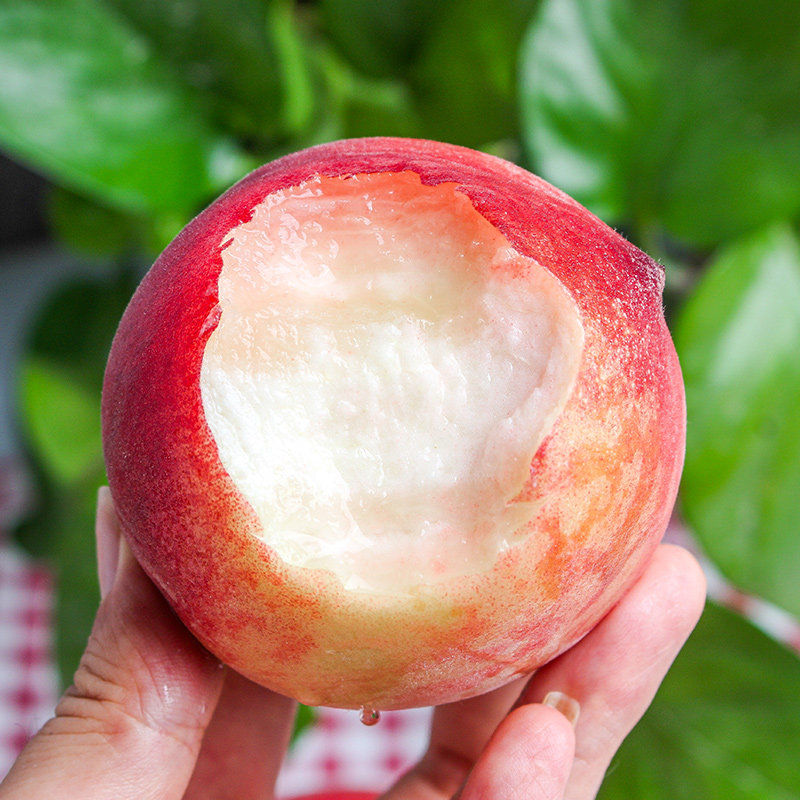 水蜜桃新鲜桃子应季水果孕妇当季整箱甜脆桃白毛桃时令现摘10包邮