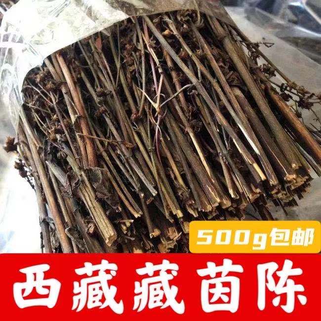 藏茵陈西藏正品精选整株野生藏因陈中药材护肝胆500g赶黄草苦胆草