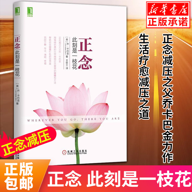 【正版包邮】正念 此刻是一枝花 正念减压之父乔卡巴金力作 心理书