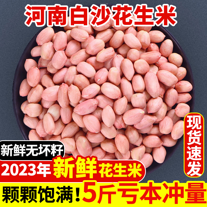 2023年生花生米大粒白沙花生仁商