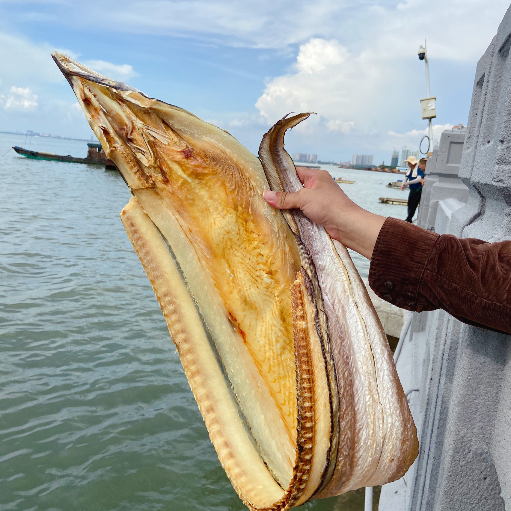 一折海鳗鱼干 大条