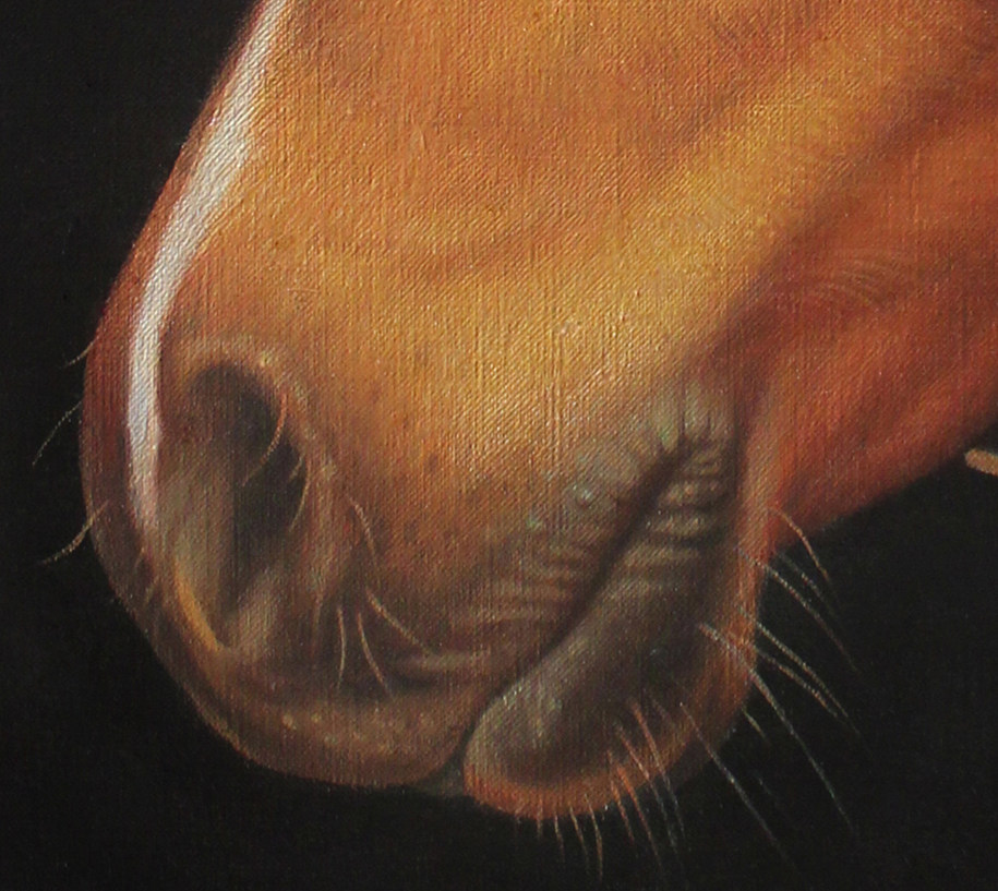 彭中杰 《枣红马》 布面油画