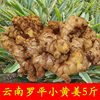 雲南羅平小黃姜5斤裝新鮮生姜坐月子姜老姜土姜調味品新姜老母姜 雲南羅平小黃姜5斤裝新鮮生姜坐月子姜老姜土姜調味品新姜老母姜