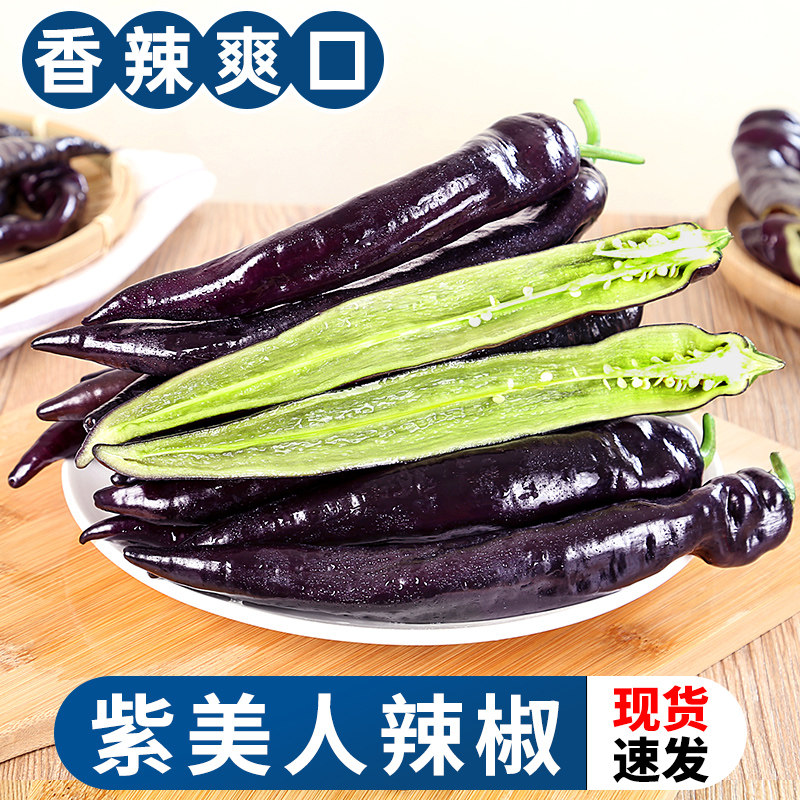 山东紫美人辣椒3斤当季新鲜蔬菜紫妃尖椒土辣椒紫羊角椒整箱包邮
