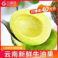 云南牛油果15个装新鲜应当季孕妇水果大鳄梨宝宝辅食整箱批发包邮