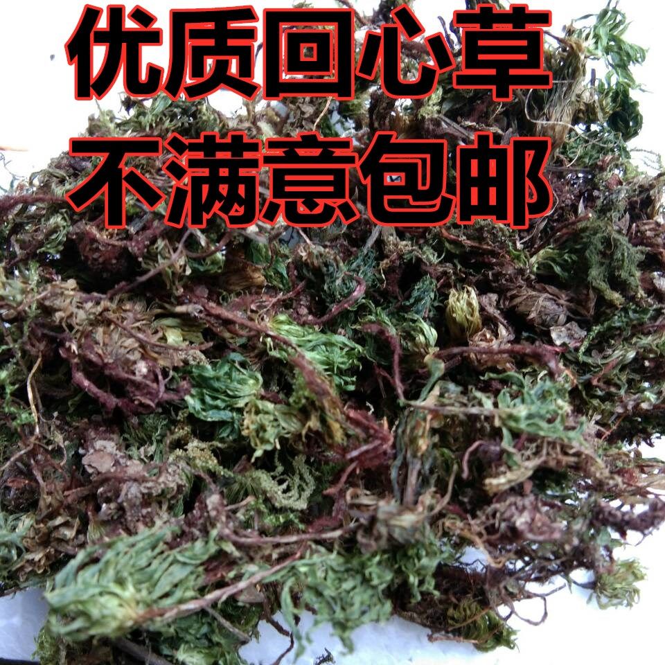 回心草正宗云南中药材野生250g包邮大叶藓茴薪草干品新鲜晒干