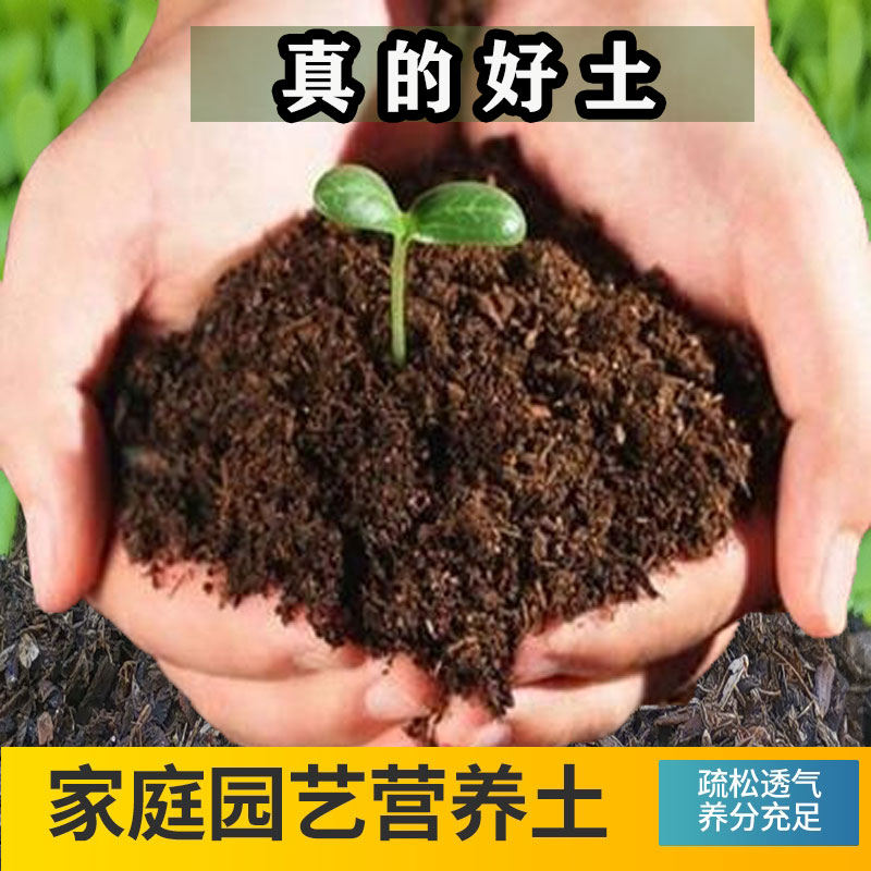 多肉种植土营养土通用种花种菜有机泥土家用绿萝花卉盆栽大包花土