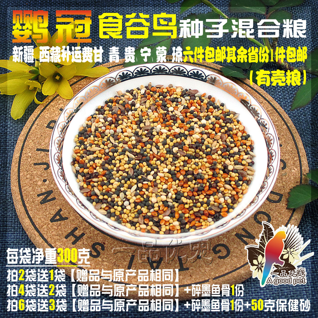 文鸟七彩芙蓉金翅金丝雀玉鸟金青黄雀白燕麻料十姐妹