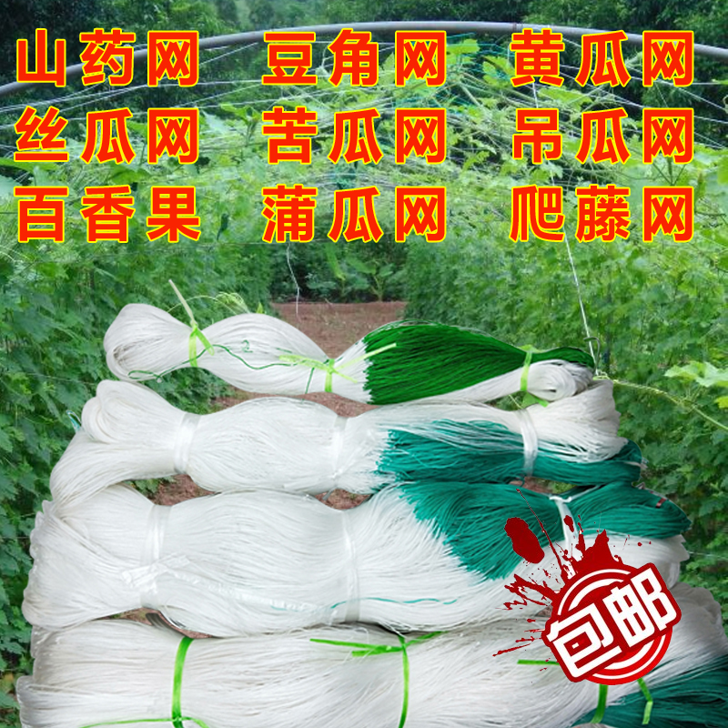 6股黄瓜网 苦瓜网 丝瓜网 百香果网 罗汉果网 甜瓜网 种植爬藤网在类目 鲜花速递/花卉仿真/绿植园艺, 园艺用品, 其它园艺用品中 - 来自Buy2taobao.com提供专业的淘宝代购服务