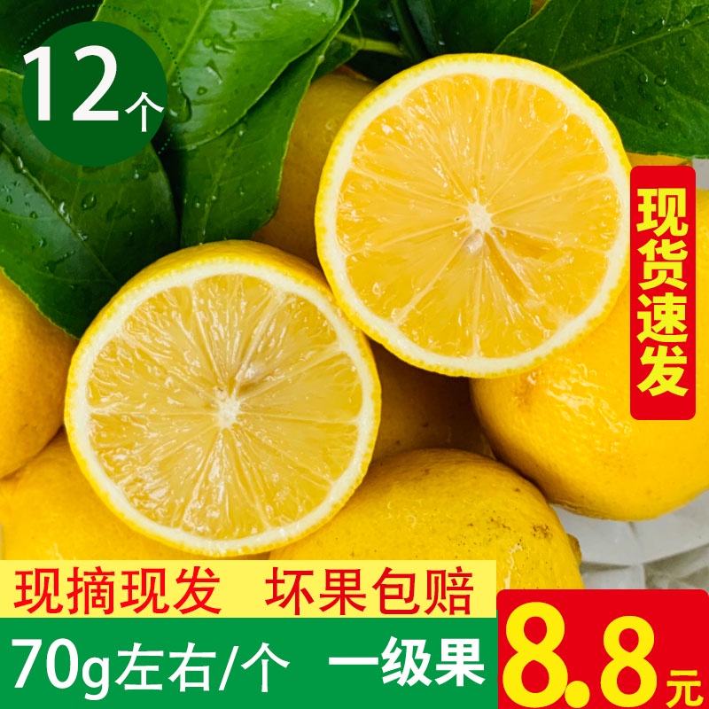 安岳黄柠檬新鲜水果一级中小果薄皮多汁现摘现12个批青香水柠檬|msdalam kategori daging perikanan/Buah-buahan segar dan sayur-sayuran/dimasak, buah-buahan segar, Lemon - dari Buy2taobao.com untuk memberikan perkhidmatan ejen Taobao profesional membeli
