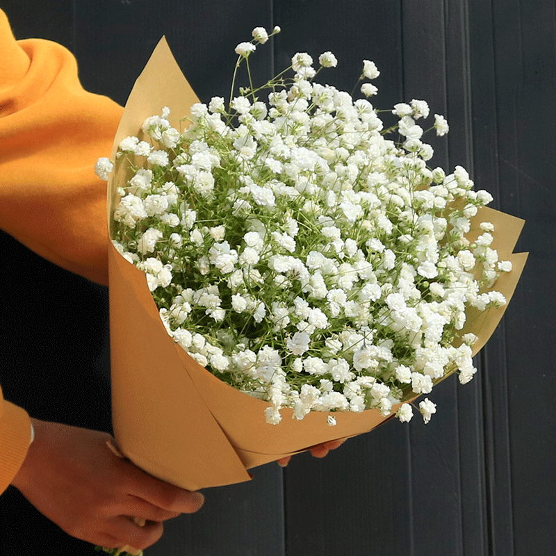 白色满天星花束