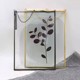 北欧复古透明玻璃相框金属植物标本夹画框简约装饰照片墙宝宝摆台
