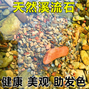 原生溪流砂天然鹅卵石鱼缸底砂造景水草砂沙水族箱装饰石头子铺底