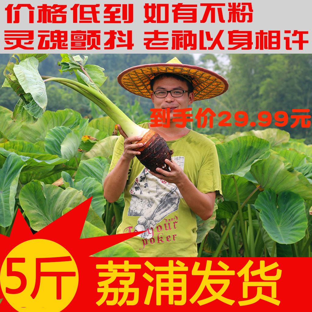 正宗广西新鲜荔浦芋头香芋槟榔芋毛芋紫藤芋广西特产农家蔬菜5斤在类目 水产肉类/新鲜蔬果/熟食, 新鲜蔬菜/蔬菜制品, 新鲜蔬菜, 芋头中 - 来自Buy2taobao.com提供专业的淘宝代购服务