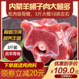 元古仁羊蝎子1500g内蒙古羊肉羊脊骨羊蝎子新鲜批发冷冻羊龙骨