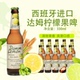 艾帝达姆柠檬味啤酒精酿果味330ml*24瓶整箱西班牙原装进口达姆星
