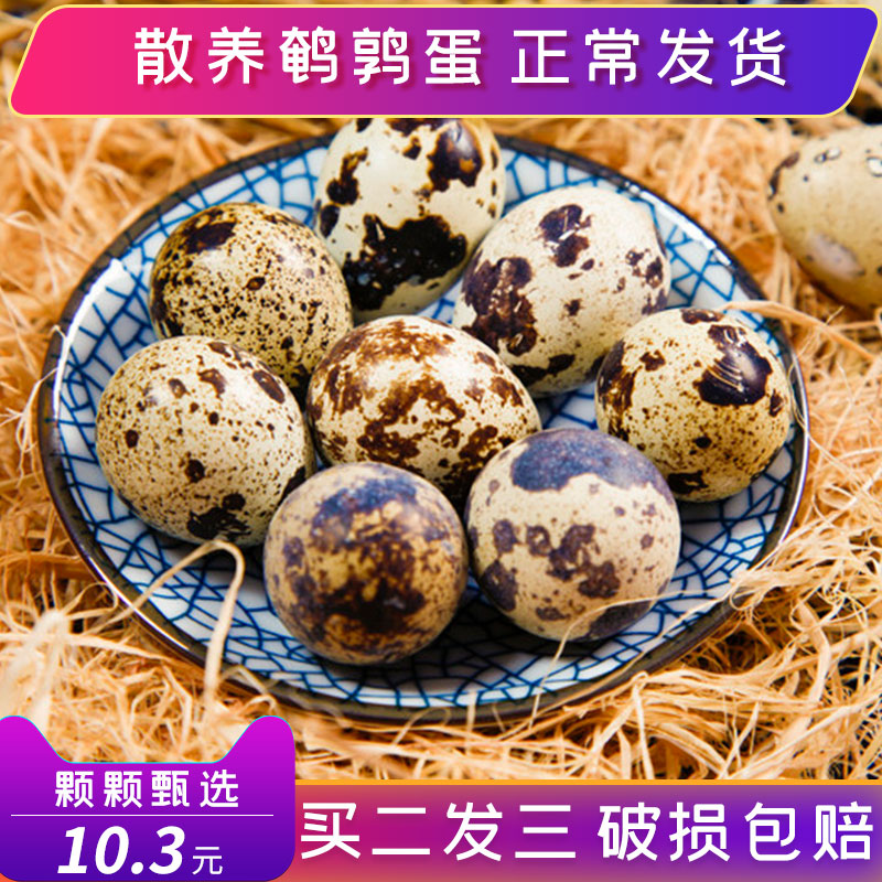 鹌鹑蛋35枚买二送一发105枚新鲜生蛋农家散养天然生态宝宝辅食|ruв категории водной мясо/свежие фрукты и овощи/еда, яйца/яичные продукты, свежие яйца, другие - от Buy2taobao.com для оказания профессиональной услуги покупки агента Taobao