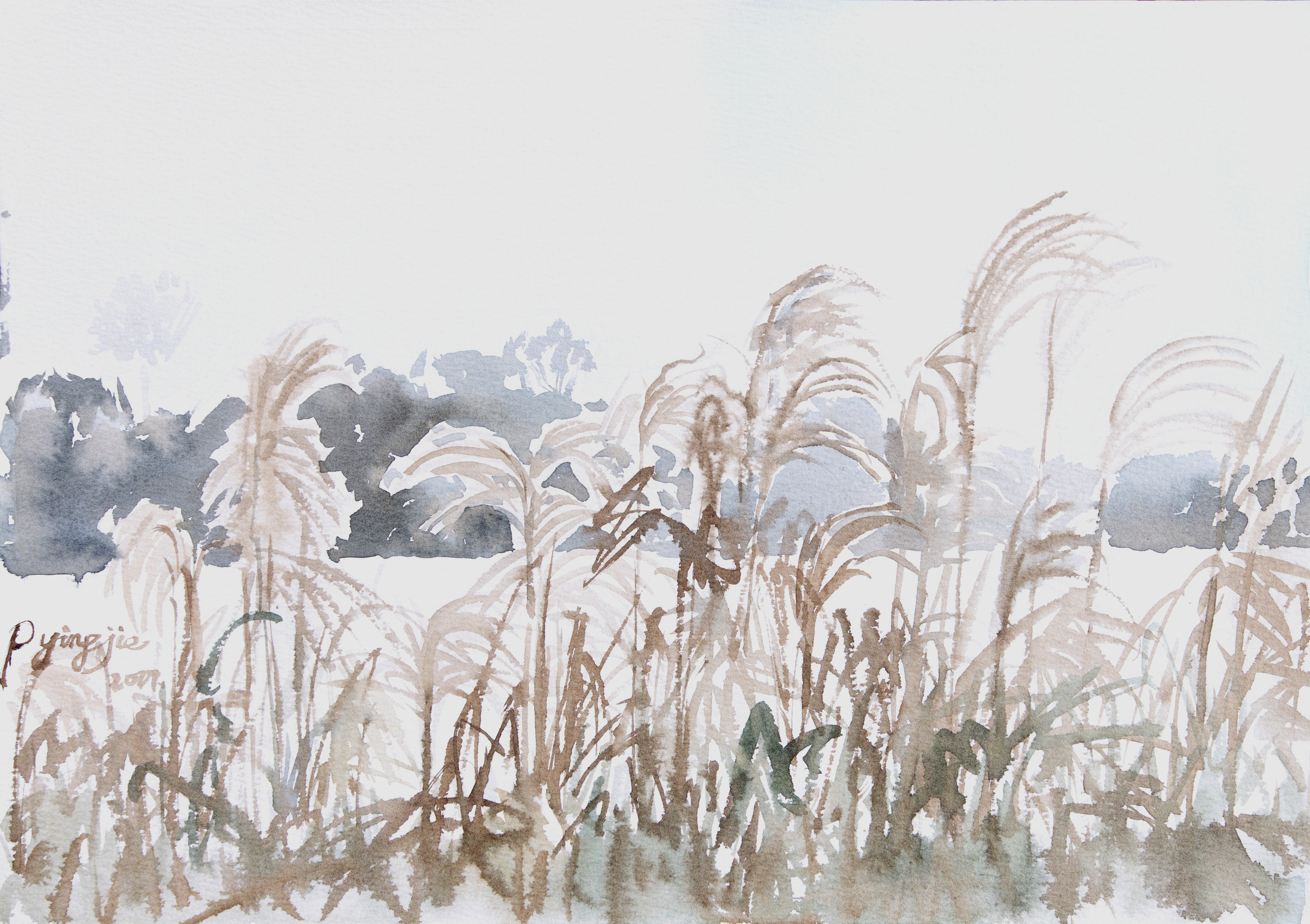 彭英杰《风吹芦苇》纸本水彩