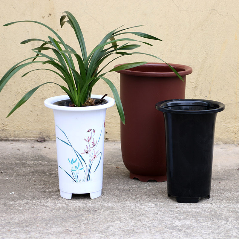 兰花种植方法_兰花什么时候种植_夜兰花种植方法