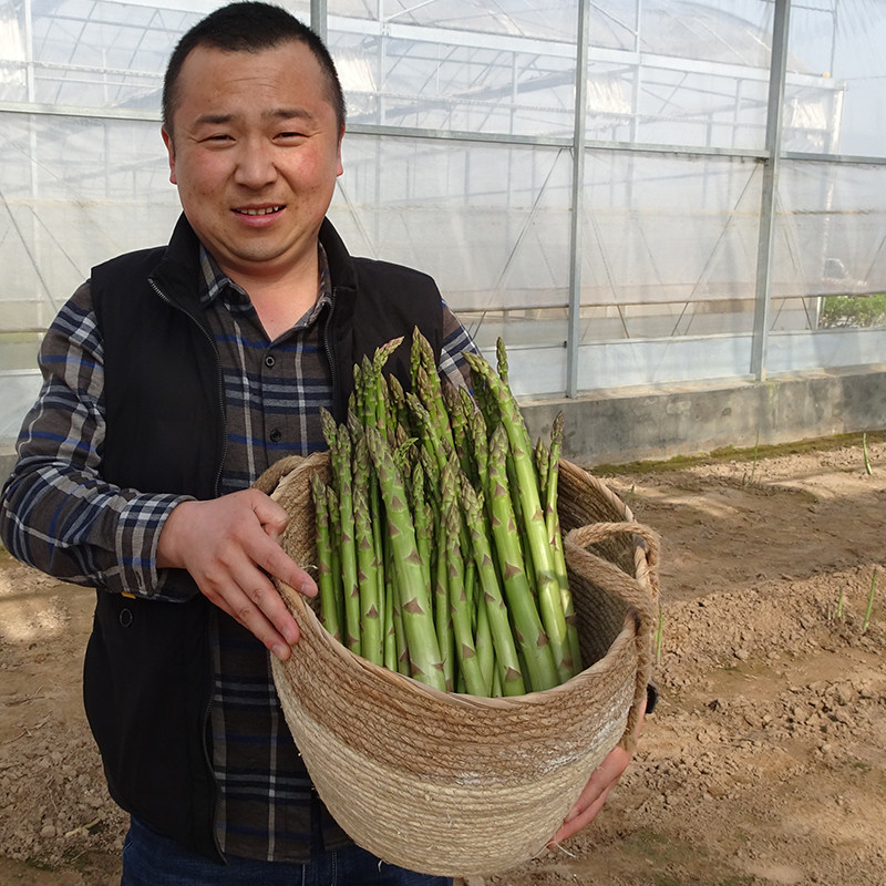 (今日3.4折)芦笋新鲜当季绿芦笋头鲜嫩农家产地直销现采现卖山东曹县
