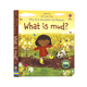 Usborne问与答系列立体翻翻书泥土是什么 Lift-the-flap Very First Questions and Answers: What is mud 英文原版儿童科普纸板书