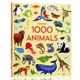 Usborne出品1000种动物 1000 things Animals 英文原版绘本儿童认知识物动物绘本精装大开英语绘本单词幼儿早教英语启蒙