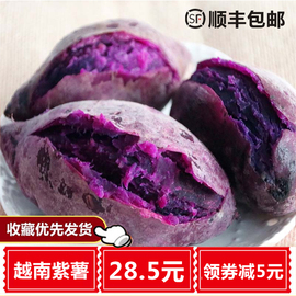 正宗越南小紫薯新鲜进口现挖紫番薯红薯5斤农家地瓜特产香薯包邮