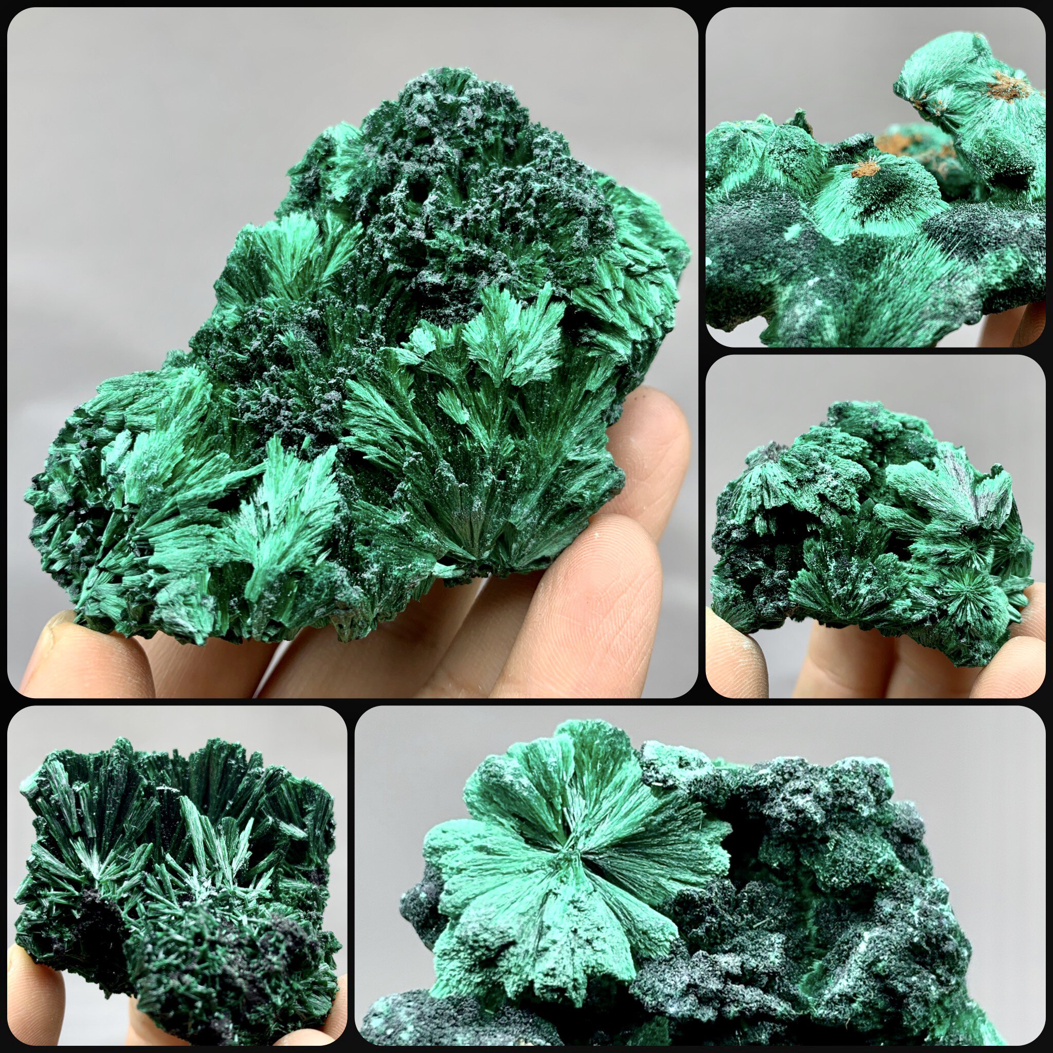 刚果精美放射状孔雀石天然矿物晶体矿石标本原石宝石奇石摆件观赏